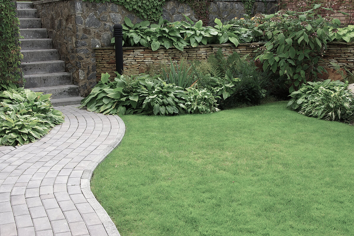 Welcome to Total Landscaping